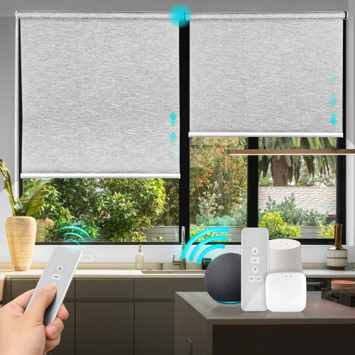Motorization